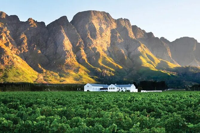 Franschhoek Wine Tram Hop-On Hop-Off Tour From Cape Town. - Booking Process