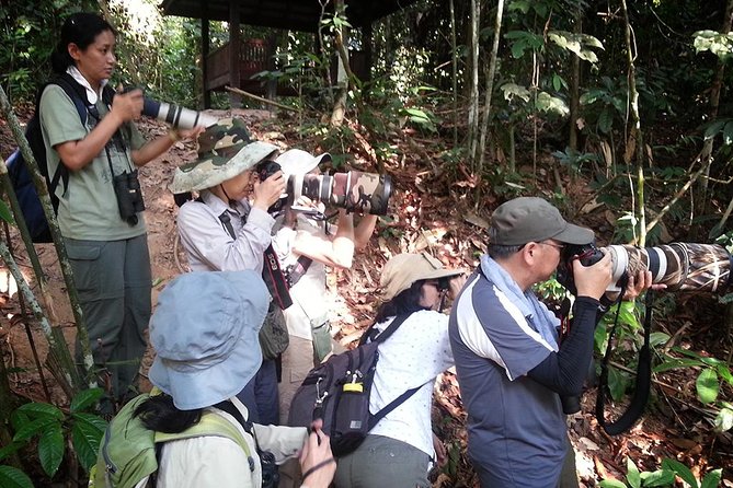 Frasers Hill Bird-Watching & Nature Sightseeing Tour From Kuala Lumpur - Tips for an Enjoyable Experience