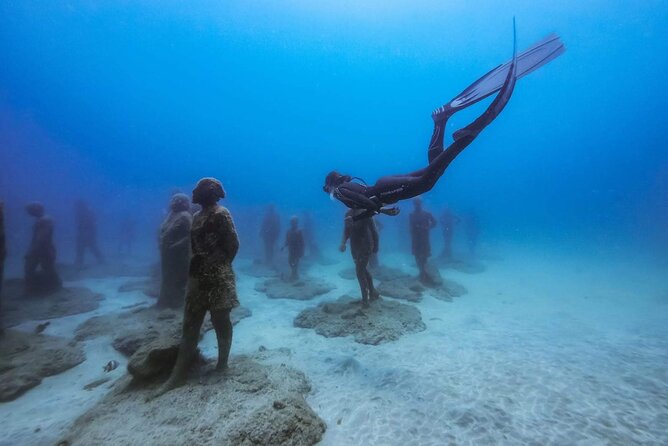 Freediving at Museum Atlantico - Viator Company Overview