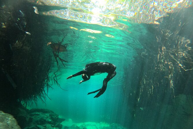 Freediving Discovery Day in Tulum! - Schedule