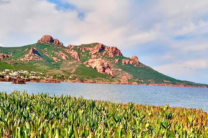 French Riviera Colorado & Var West by Train (from Cannes/Nice) - Health and Accessibility