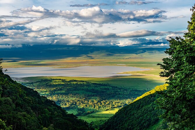 From Arusha: Tarangire and Ngorongoro Crater 3-Day Private Safari - Health and Safety Requirements