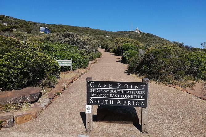From CapeTown:TableMountain,Penguins &Wine Testing in Constantia - Scenic Cape of Good Hope