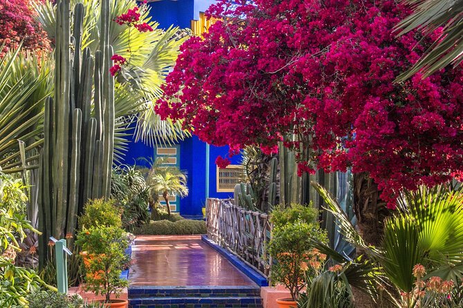 From Casablanca to Marrakech: A Day of History and Culture - Cultural Experiences