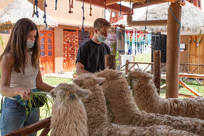 From Cusco: Sacred Valley and Moray Salt Mines - Discovering Moray Salt Mines