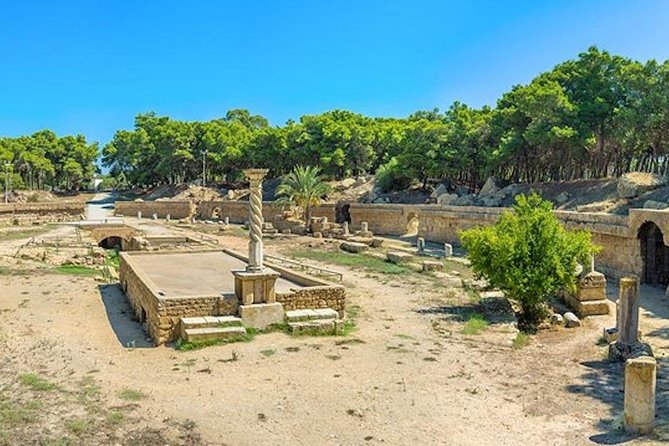 From Hammamet: Carthage, Bardo Museum, Sidi Bou Said and Medina - Exploring Bardo Museum