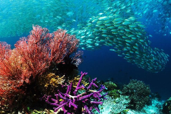 From Hurghada: Sharm El Naga Full-Day Snorkeling Tour - Booking Process and Policies
