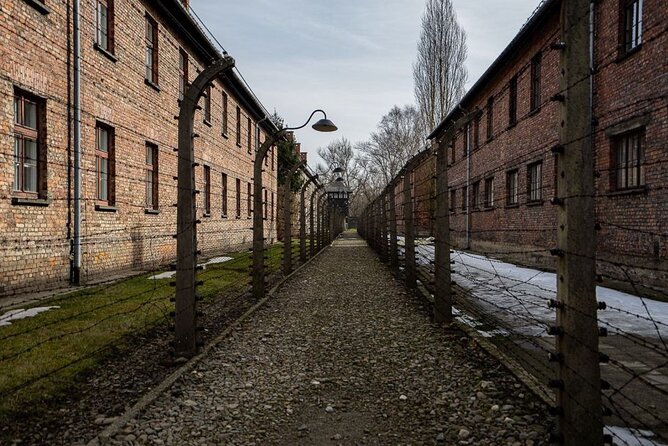 From Kraków: Auschwitz-Birkenau Tour With Lunch Box and Pick up - Participant Information