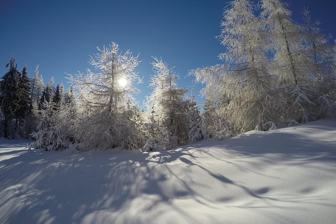 From Krakow: Siepraw Skiing for Beginners - Pricing and Cancellation