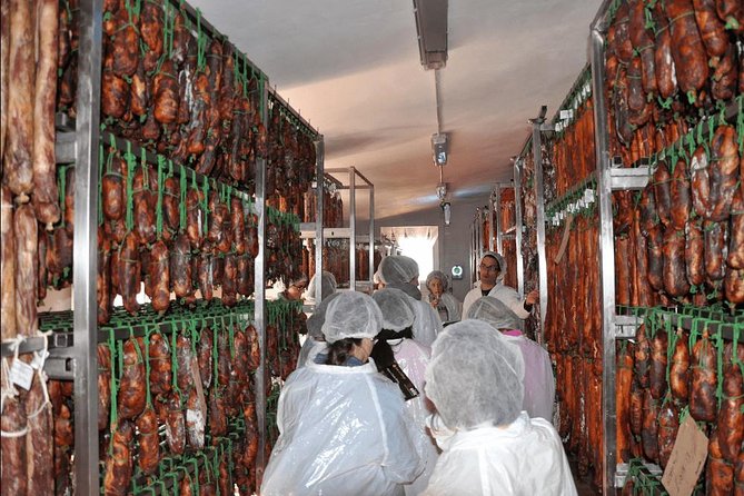 From Seville: Pig Farm Private Day Tour and Old Villages Visit - Discover Iberian Ham