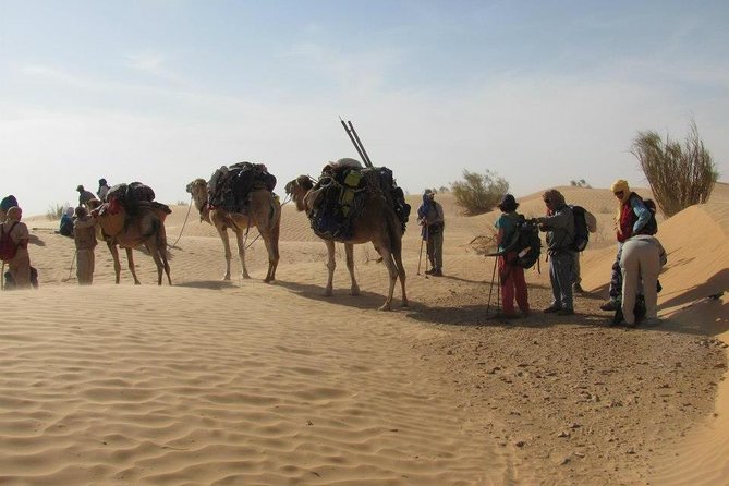 From Tozeur: 3-Day Desert Trip - Booking Process