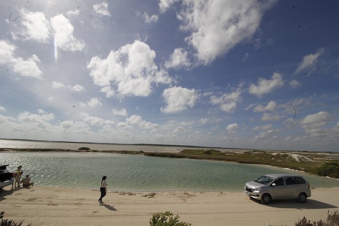 From Valladolid: Rio Lagartos + Coloradas + Ek Balam + Cenote (Transport) - Health and Accessibility
