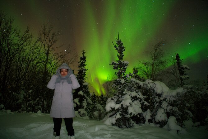 Full Day Arctic Circle Tour - Tour Operations and Guide Performance