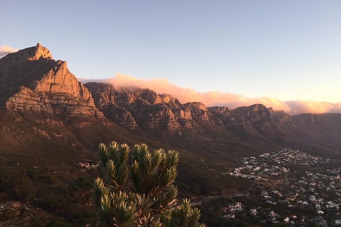 Full-Day Best of the Cape, Peninsula, Cape Point and Stellenbosch Tour - Marveling at the Cape of Good Hope