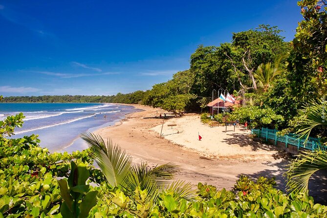 Full Day Cahuita Snorkel and Sloth Sanctuary From Puerto Viejo De Limón - Positive Feedback From Guests