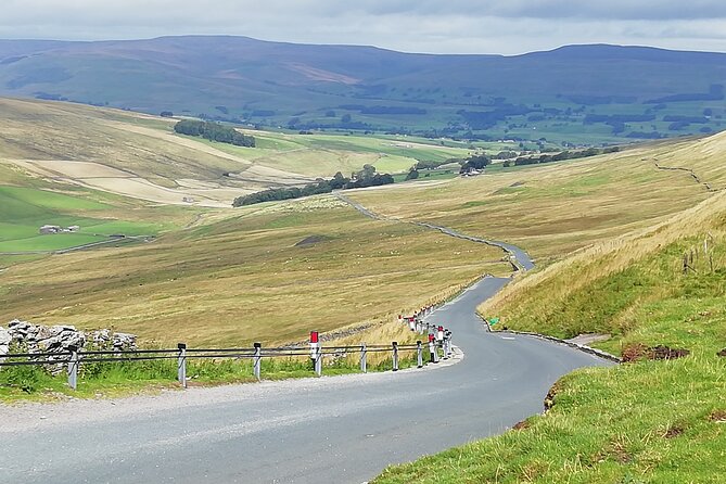 Full-Day Discovering All Creatures Great and Small Tour of Yorkshire - Reviews and Traveler Feedback