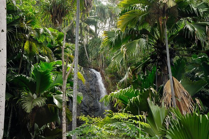 Full Day Discovery Tour of Vallee De Mai and Anse Lazio on Praslin Island - Included Amenities