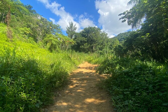 Full-Day El Yunque Rainforest Adventure From Carolina - Meeting and Pickup