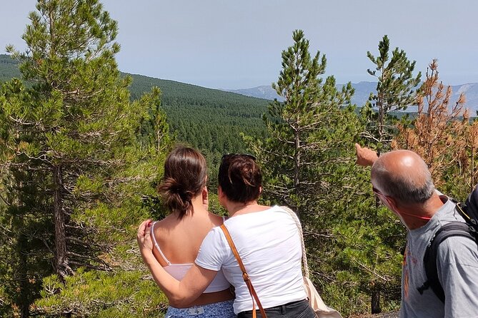 Full Day Etna Immersive Trek & Taste From Taormina and Naxos - Etna Hiking Excursion