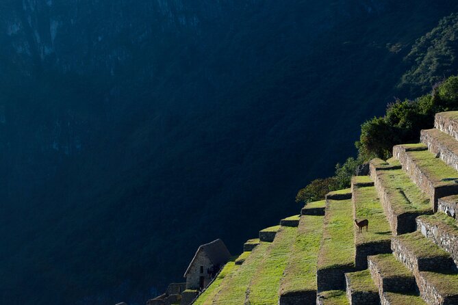 Full Day Excursion to Machu Picchu From Cusco - Booking Information