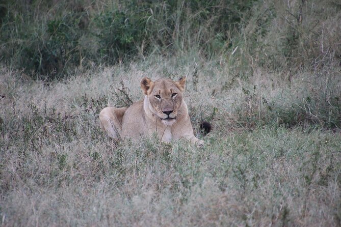 Full-Day Family Hluhluwe Imfolozi Park Safari Experience - Convenient Pickup Options