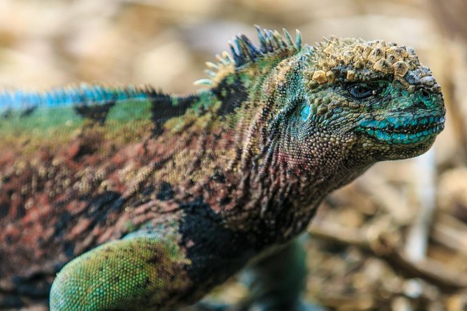Full Day Floreana Tour - Tour Inclusions and Exclusions