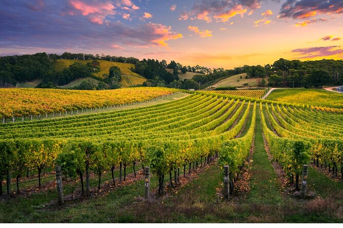 Full Day Grape Escape to Alsace Wine Route via Strassbourg - The Sum Up