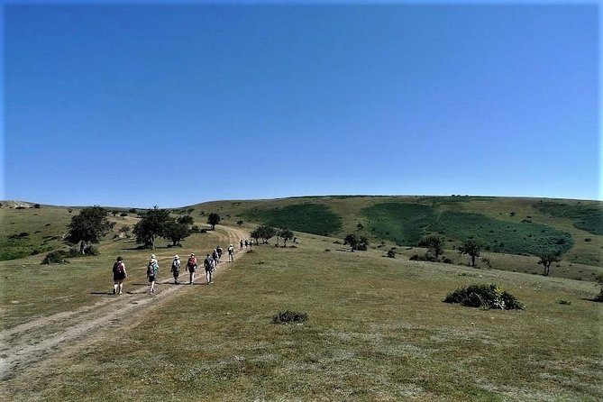 Full-Day Hiking at Cappadocia - Exceptional Guide Expertise