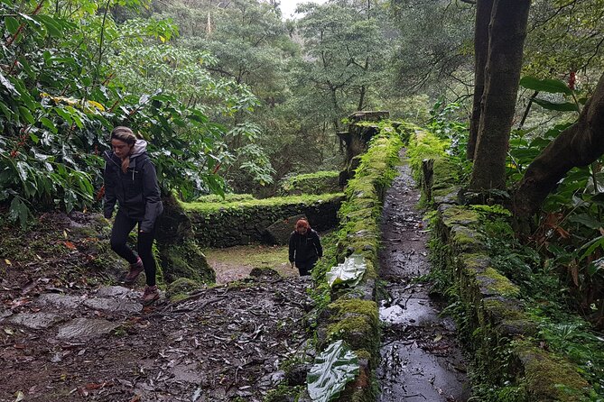 Full Day Hiking Trail Waterfalls - in Lomba De São Pedro - Azores - Whats Included in the Tour