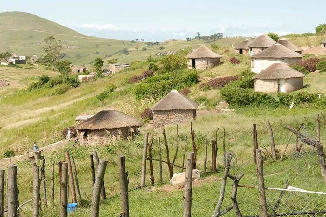 Full Day - Hluhluwe Imfolozi Game Reserve 1 Day Tour From Durban - Included Amenities