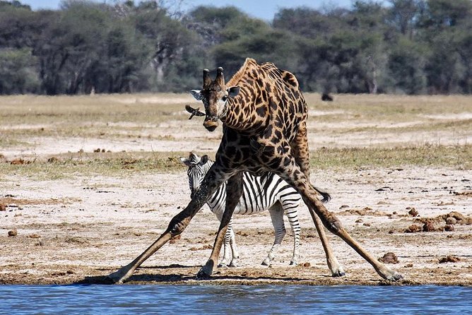 Full Day Hwange Day Trip - Accessibility and Health Considerations