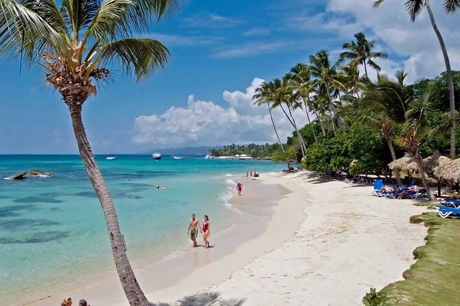 Full Day in Samaná With Limón Waterfall and Cayo Levantado Beach - Health and Safety Considerations
