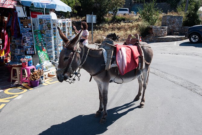 Full-Day Lasithi Plateau From Heraklion , Malia & Hersonissos - Wheelchair Accessibility and Dress Code