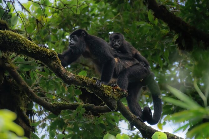 Full Day Nature Experience - Meeting Point and Timing