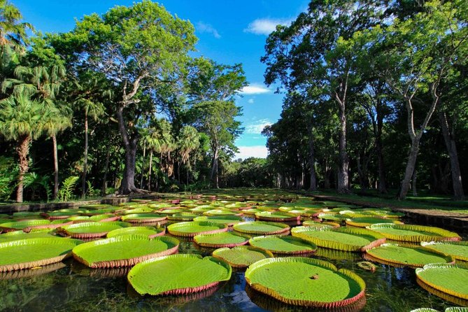 Full-Day North Tour of Mauritius, ALL INCLUSIVE Day Trip, Private SUV Car, Guide - Pickup and Communication