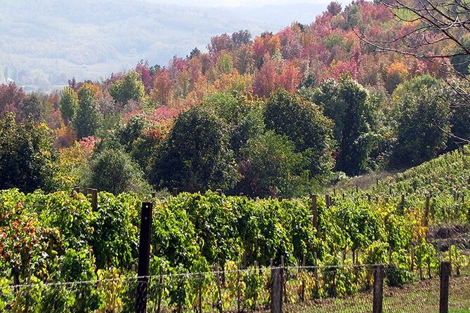 Full-Day Private Royal Heritage Tour to Oplenac With a Winery Visit - Exploring Serbian Royal History