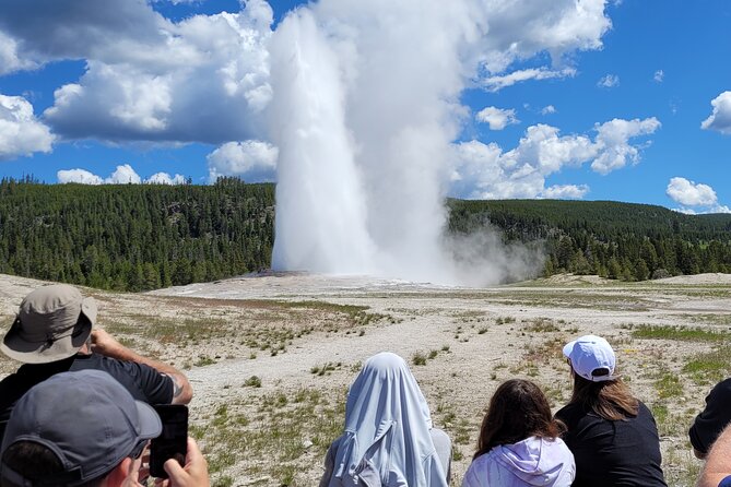 Full-Day Private Safari of Yellowstone - Itinerary Highlights