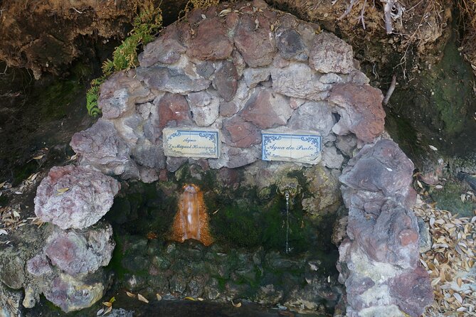Full-Day Private São Miguel Tour With Furnas and Hot Springs - Visiting Natural Wonders