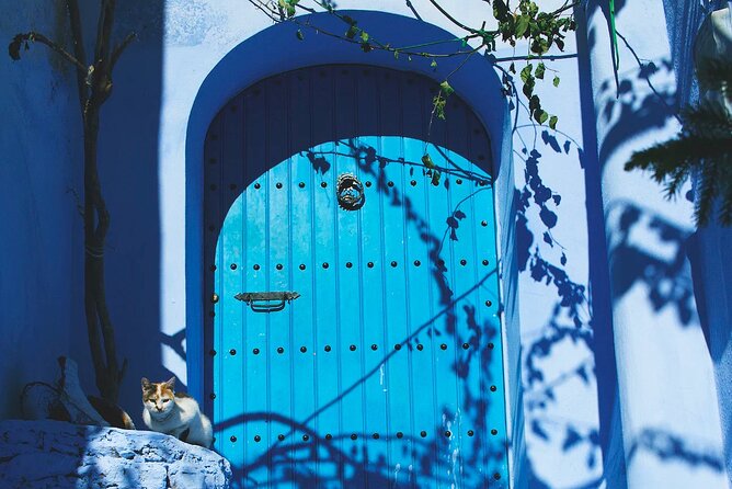 Full Day Private Trip to Chefchaouen the Blue City From Tangier - Transportation and Comfort