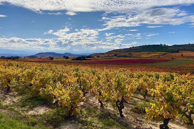 Full-Day Private Wine Tasting Tour in La Rioja With Lunch - Pickup and Schedule