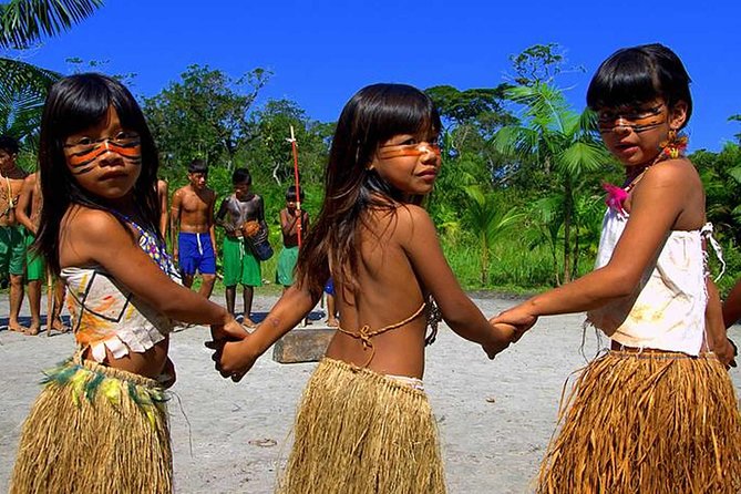 Full Day Rain Forest and Indian Reservation Tour From São Paulo - Coastal Drive and Scenery