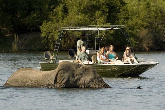 Full-day Safari Tour in Chobe - Accessibility Features
