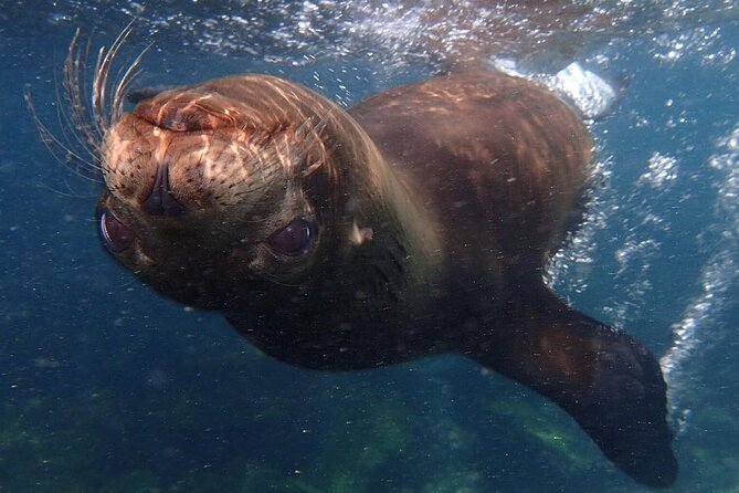Full Day Santa Fe and Playa Escondida With Snorkeling and Lunch Included - Tour Experience and Expectations