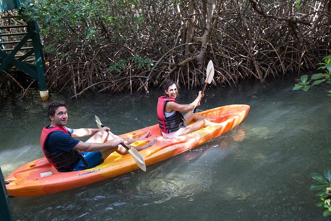 Full Day SoCoHo - Historic Sites - Mangrove Kayak & Reef Snorkeling - Health and Safety