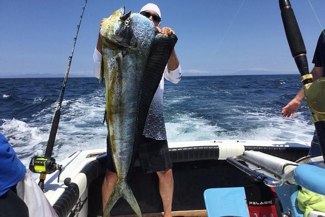 Full Day Sport Fishing Tour From Flamingo Beach - Logistics and Inclusions