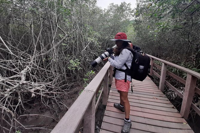 Full Day to Ecological Reserve Churute Mangrove and Cacao Farm Visit - Lunch and Chocolate-Making Demonstration