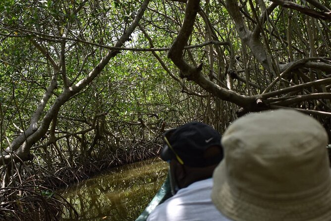 Full Day Tour of the Mangrove Swamp and Mud Volcano in Cartagena - Exploring the Mangrove Swamp