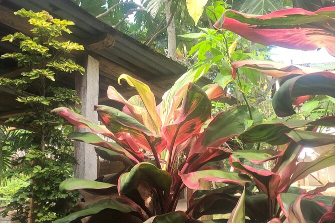 Full Day Tour to Gotsezhy Indigenous Town in Santa Marta - Traveler Experiences and Feedback