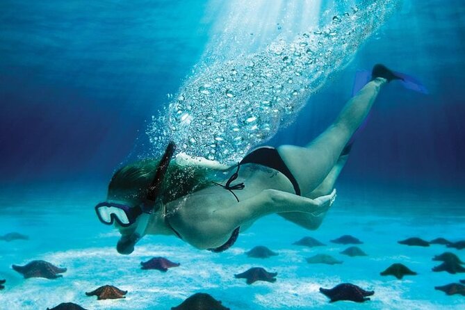 Full Day Tour to Isla Saona and Altos De Chavon - Pickup and Accessibility
