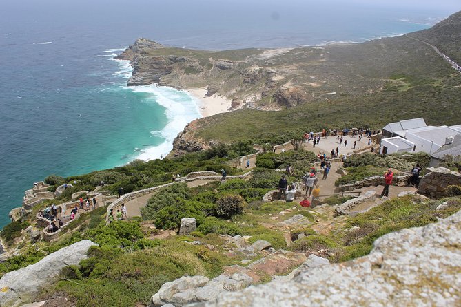 Full Day Visit to Cape Point Cape of Good Hope for Special Needs From Cape Town - Itinerary Details